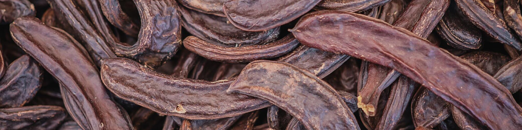 Consumo_Algarrobina