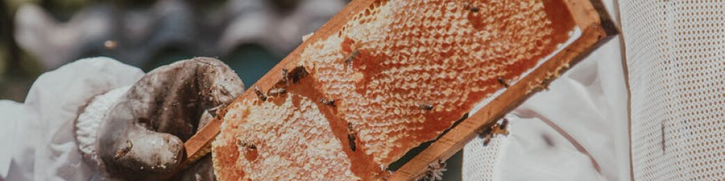 Consumo_Productos_Naturales